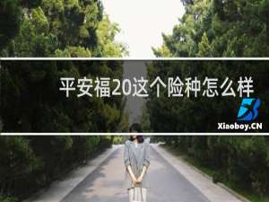 平安福20这个险种怎么样