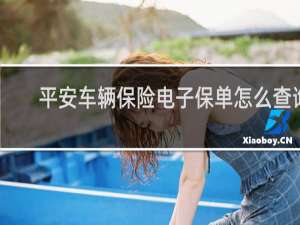 平安车辆保险电子保单怎么查询