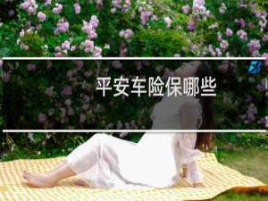 平安车险保哪些