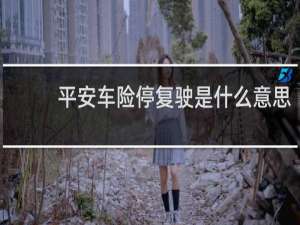 平安车险停复驶是什么意思