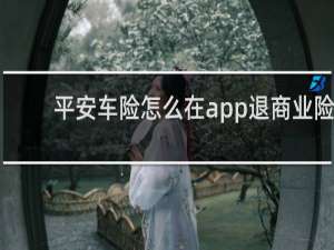 平安车险怎么在app退商业险
