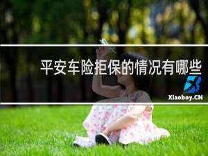 平安车险拒保的情况有哪些