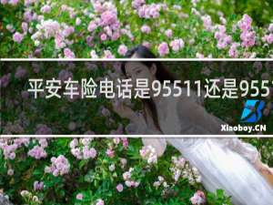平安车险电话是95511还是95512