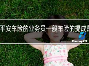 平安车险的业务员一般车险的提成是多少
