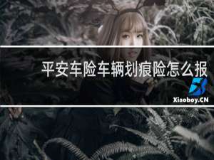 平安车险车辆划痕险怎么报