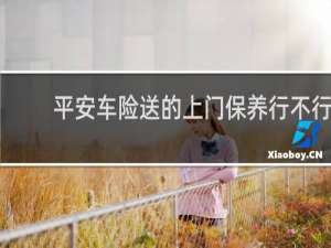 平安车险送的上门保养行不行
