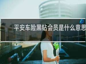 平安车险黑钻会员是什么意思