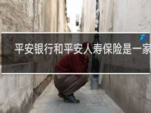 平安银行和平安人寿保险是一家吗