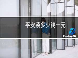 平安锁多少钱一元