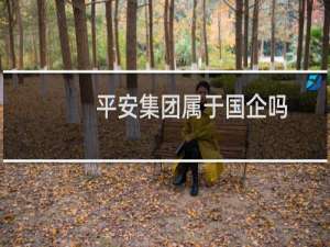 平安集团属于国企吗
