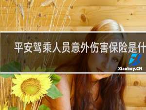 平安驾乘人员意外伤害保险是什么