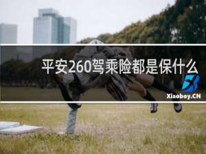 平安260驾乘险都是保什么