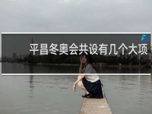 平昌冬奥会共设有几个大项