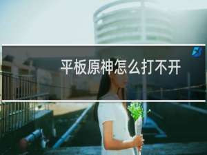 平板原神怎么打不开