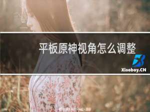 平板原神视角怎么调整