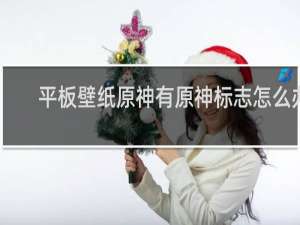 平板壁纸原神有原神标志怎么办