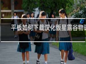 平板如何下载汉化版星露谷物语