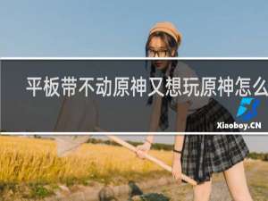 平板带不动原神又想玩原神怎么办
