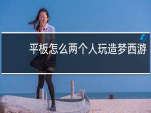 平板怎么两个人玩造梦西游