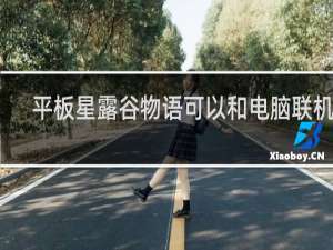 平板星露谷物语可以和电脑联机吗