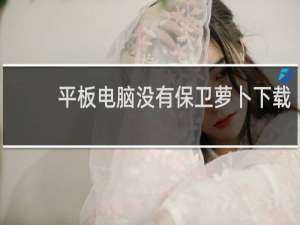 平板电脑没有保卫萝卜下载