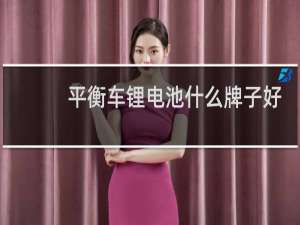 平衡车锂电池什么牌子好