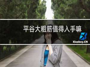 平谷大粗筋值得入手嘛