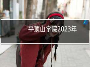 平顶山学院2023年河南高职高专批录取分数线