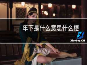 年下是什么意思什么梗