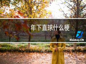 年下直球什么梗