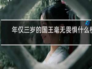 年仅三岁的国王毫无畏惧什么梗