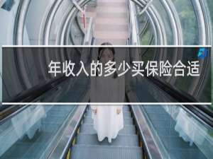 年收入的多少买保险合适