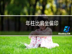 年柱比肩坐偏印