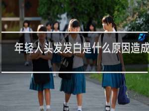 年轻人头发发白是什么原因造成的