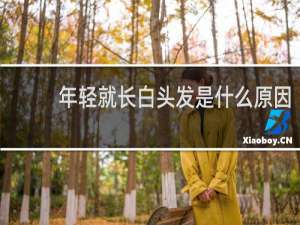 年轻就长白头发是什么原因