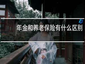 年金和养老保险有什么区别