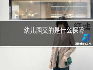 幼儿园交的是什么保险