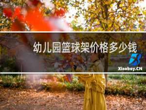 幼儿园篮球架价格多少钱