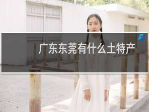 广东东莞有什么土特产