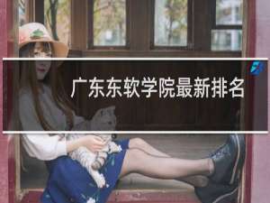 广东东软学院最新排名多少位 2025全国民办大学排名第69位(校友会版I类)