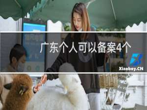 广东个人可以备案4个域名么