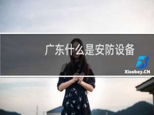 广东什么是安防设备