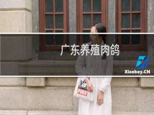 广东养殖肉鸽