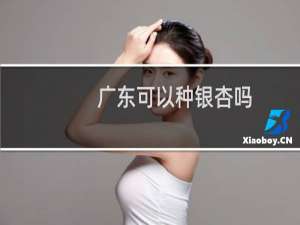 广东可以种银杏吗