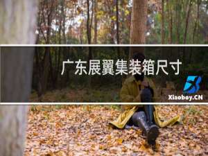 广东展翼集装箱尺寸