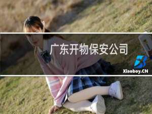 广东开物保安公司