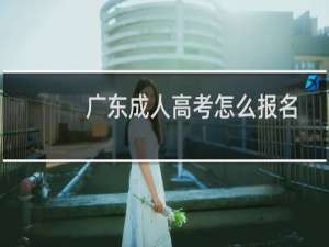 广东成人高考怎么报名