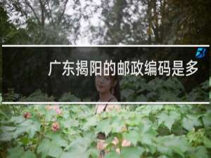 广东揭阳的邮政编码是多少