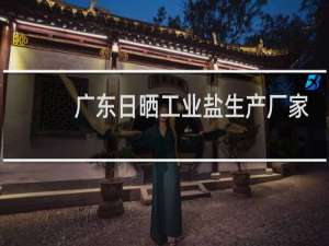 广东日晒工业盐生产厂家