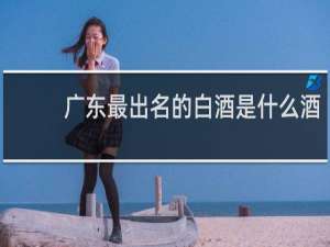 广东最出名的白酒是什么酒